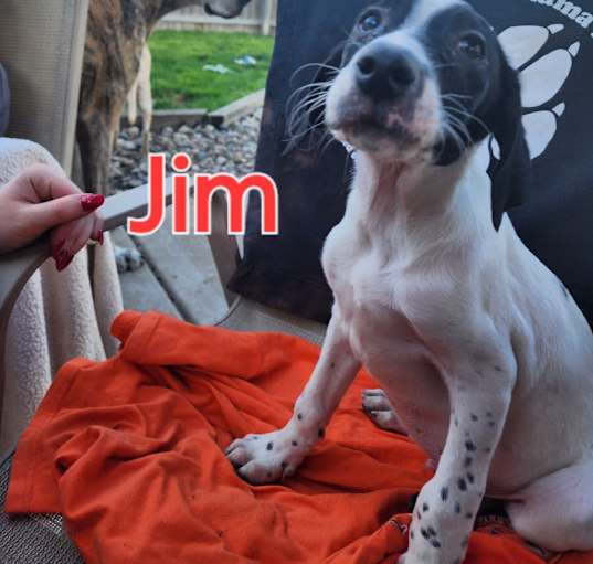 Photo of Jim