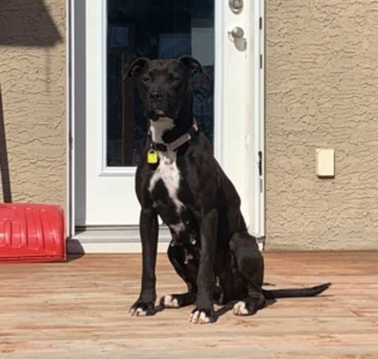 Photo of Hazel