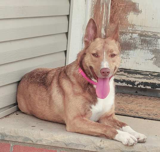 Photo of Tiara