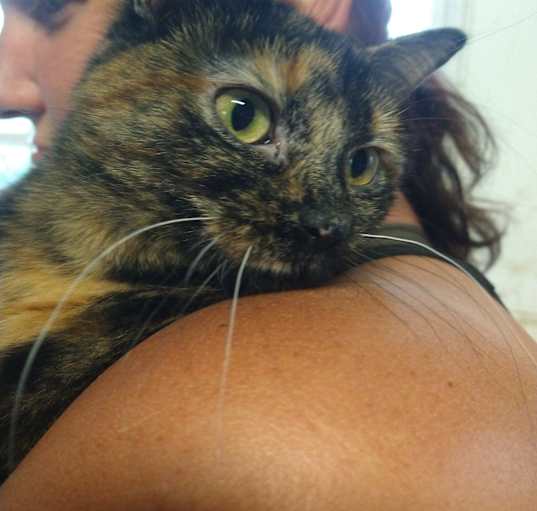 Photo of Navi