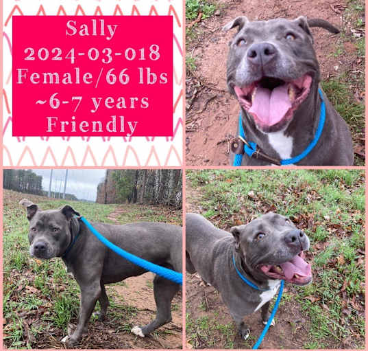 Photo of 2024-03-018 *Sally*
