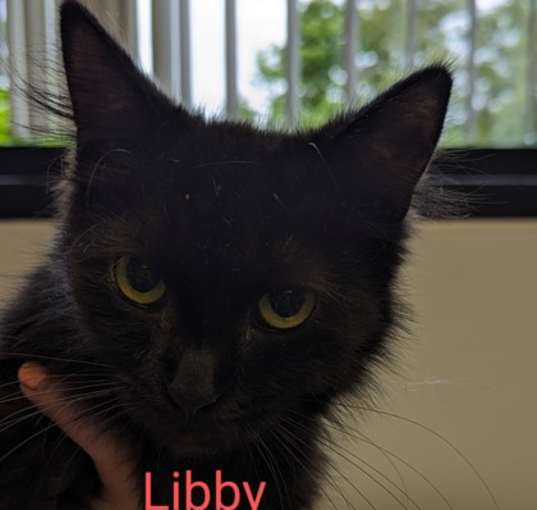 Photo of Libby