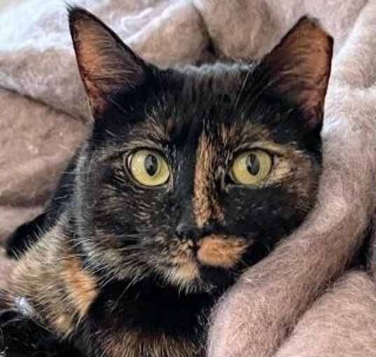 Photo of Freda