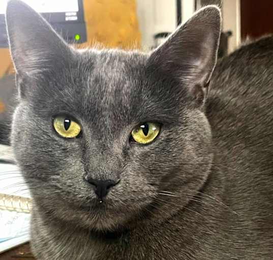 Photo of Evie