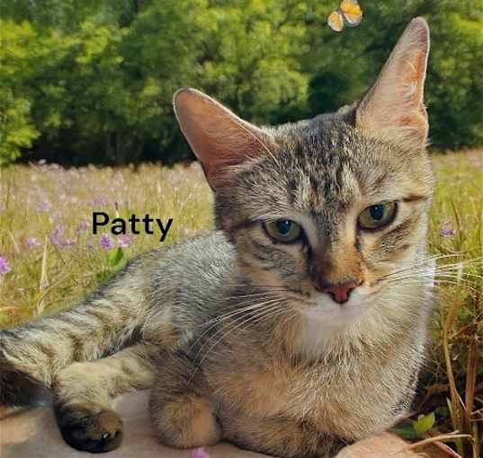 Photo of Patty