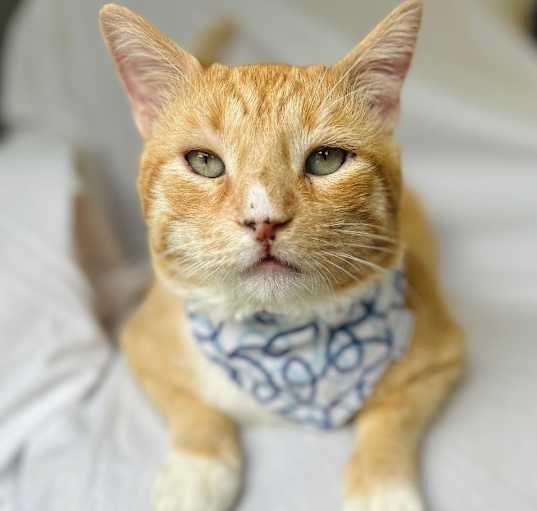 Photo of PRINCE
