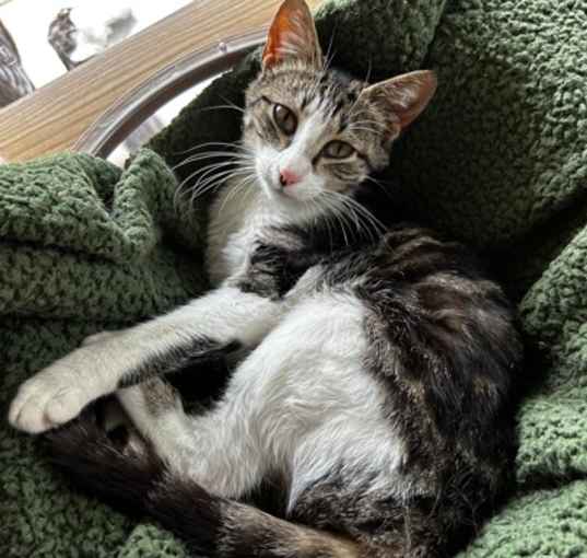 Photo of Tuna
