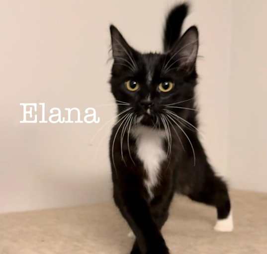 Photo of Elana