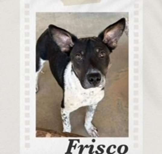 Photo of Frisco