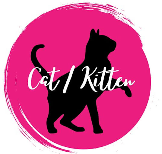 Photo of Cat/Kitten Generic