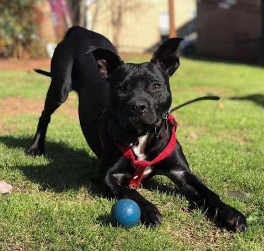 Photo of Bane