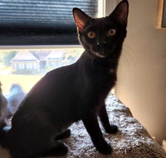 Photo of Fry