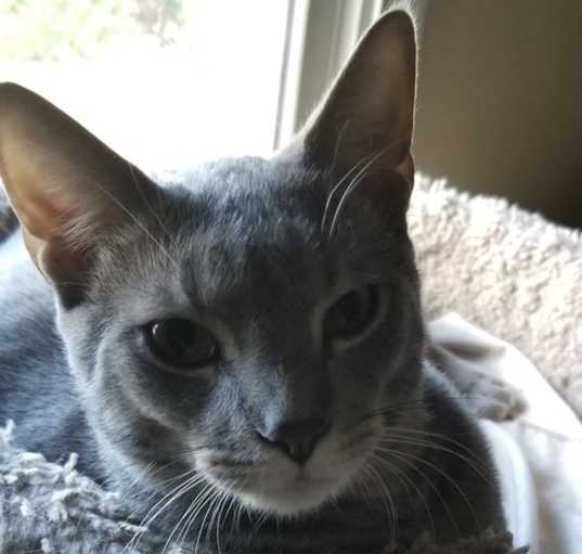 Photo of Casper