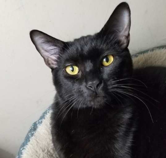 Photo of Buttons