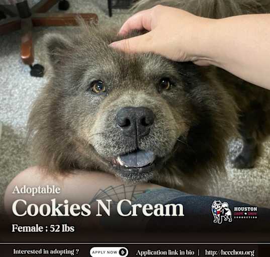 Photo of Cookies N Cream