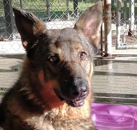 Photo of Diamond