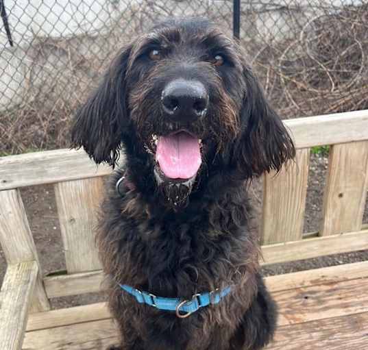 Photo of Cash