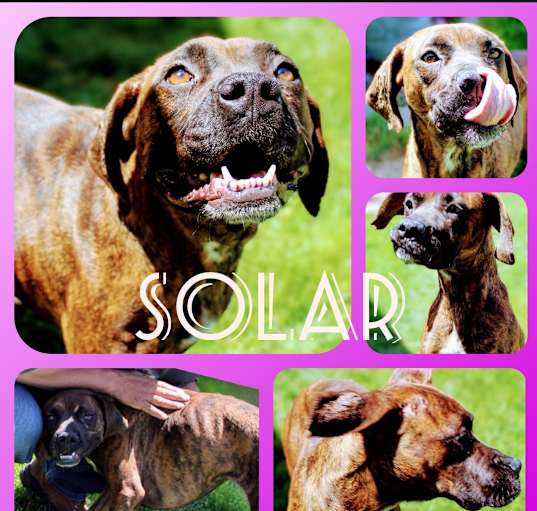 Photo of SOLAR