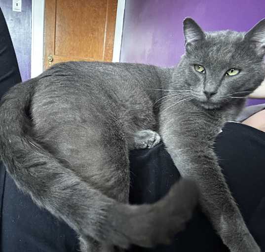 Photo of Ash