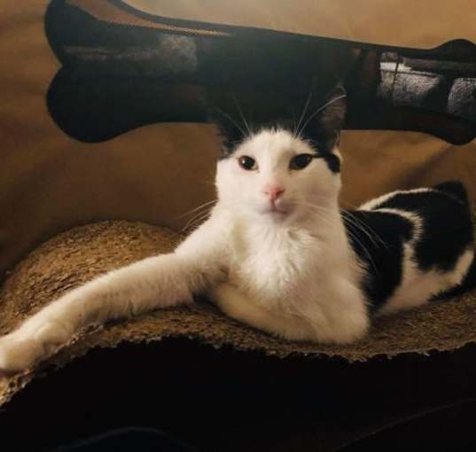 Photo of Tom