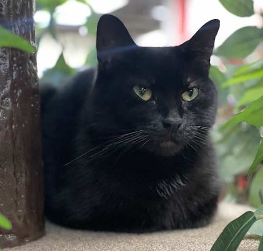 Photo of Binks