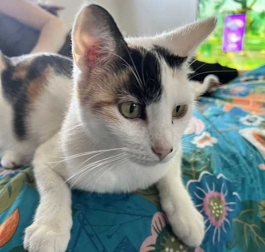 Photo of Galadriel