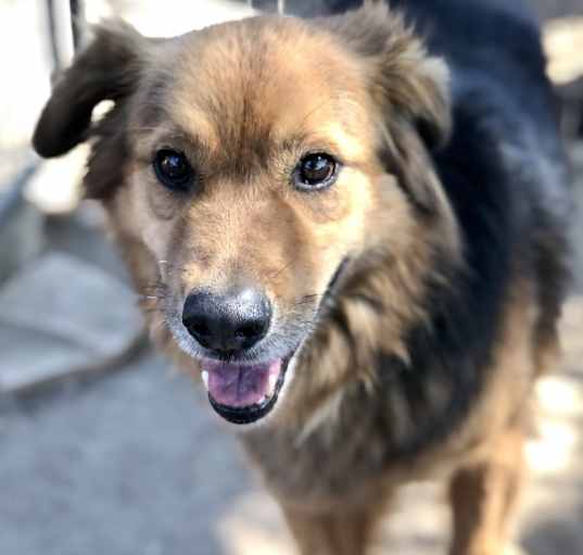 Photo of Ruckus