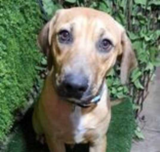 Photo of Keizer