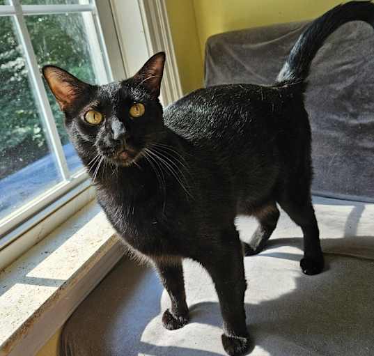 Photo of Luey