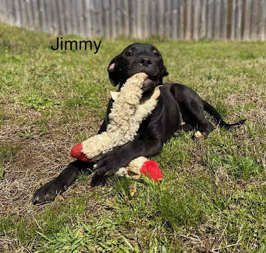 Photo of Jimmy