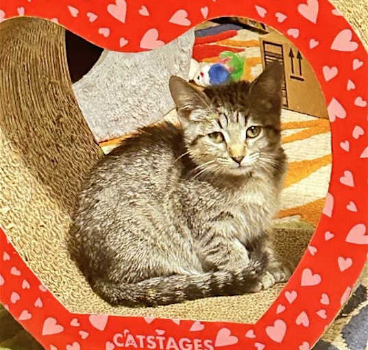 Photo of Graycie