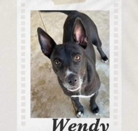 Photo of Wendy