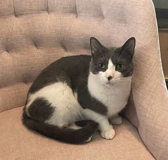 Photo of Leo
