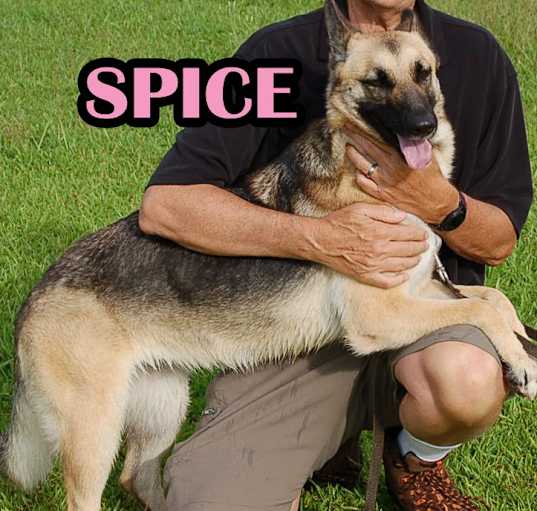 Photo of Spice & Sugar