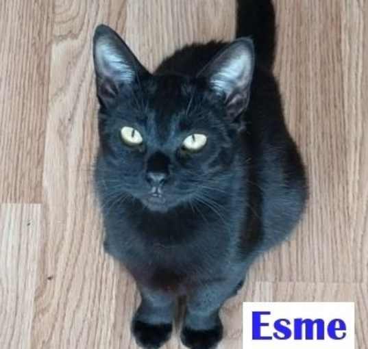 Photo of Esme