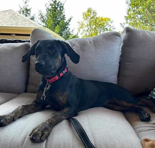 Photo of Lacie