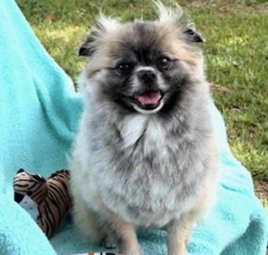 Photo of Princess Gia