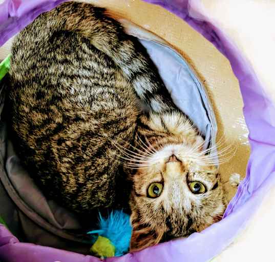 Photo of Gemma