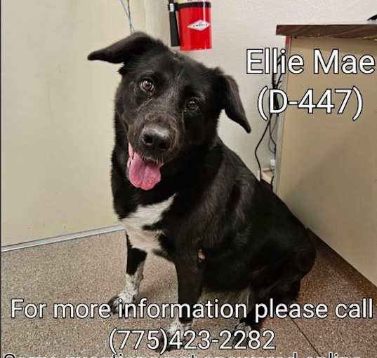 Photo of Ellie Mae