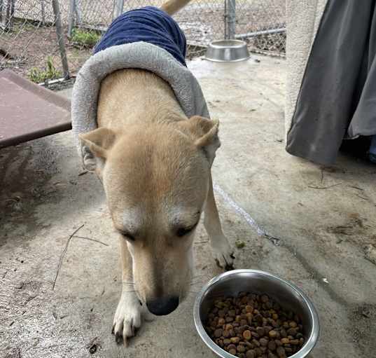 Photo of Maggie