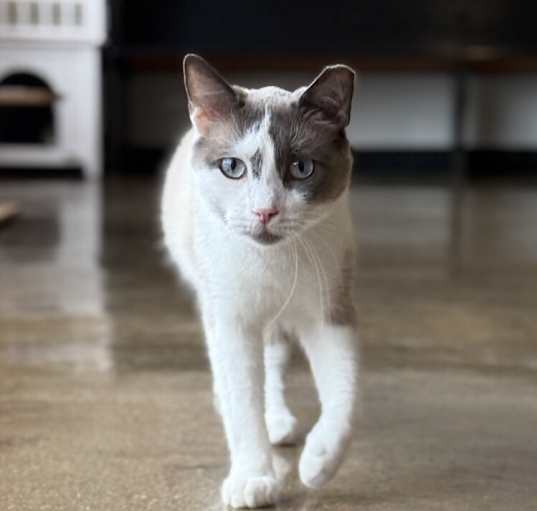 Photo of Stewart