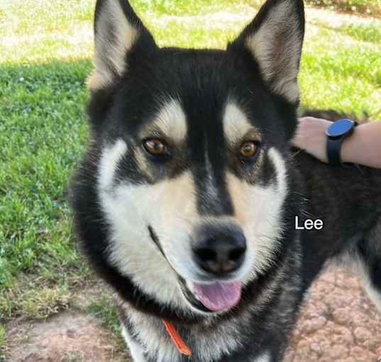 Photo of Lee