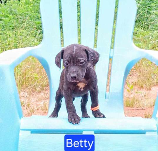 Photo of Betty