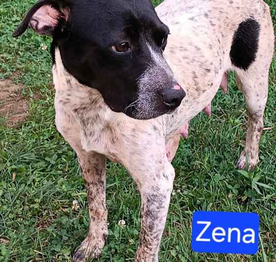 Photo of Zena