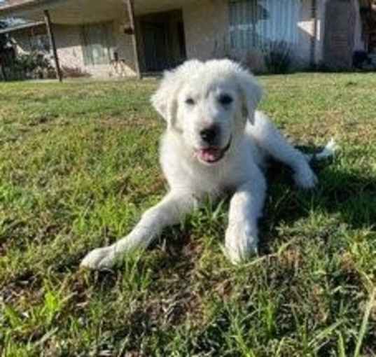 Photo of Truffles