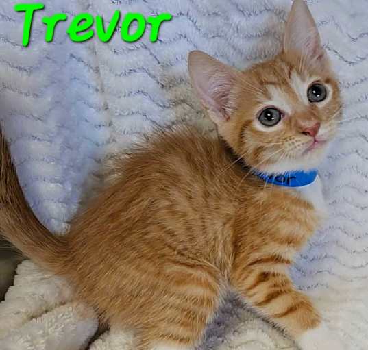 Photo of Trevor