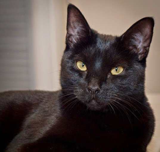 Photo of Cassie