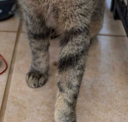 Photo of Fresca