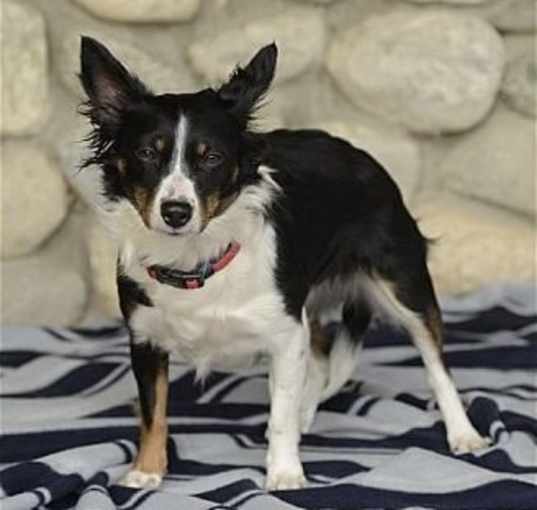 Photo of Lulu
