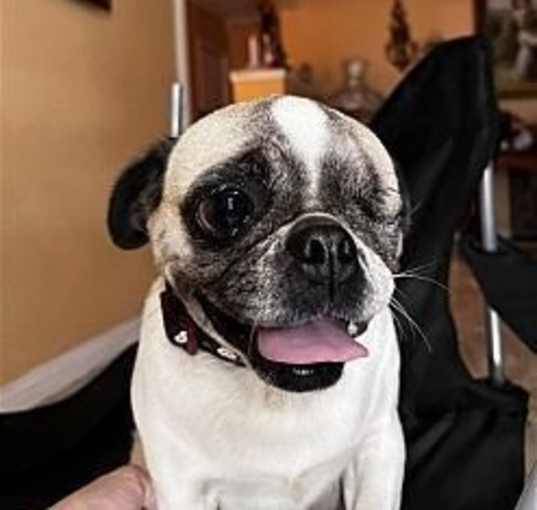 Photo of Heidi Girl